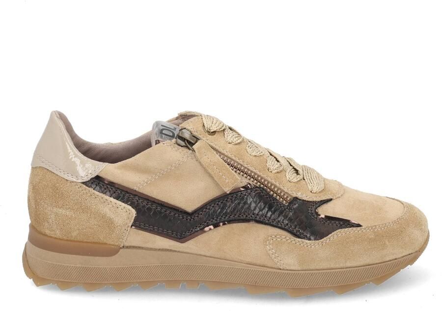 DL Sport 7140 vers 05 avena Beige