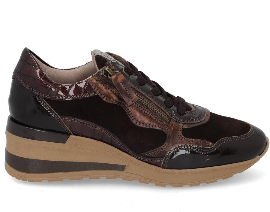 DL Sport 7164 vers 0C TDM Bruin
