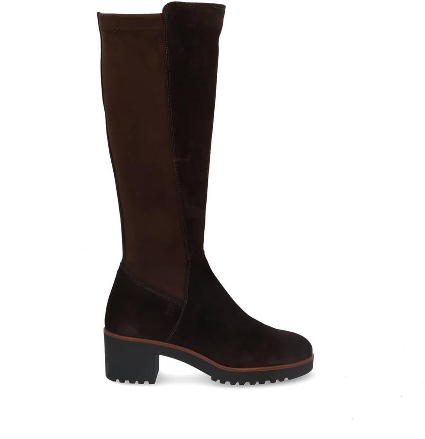 DL Sport 7246 vers 08 cacao Bruin