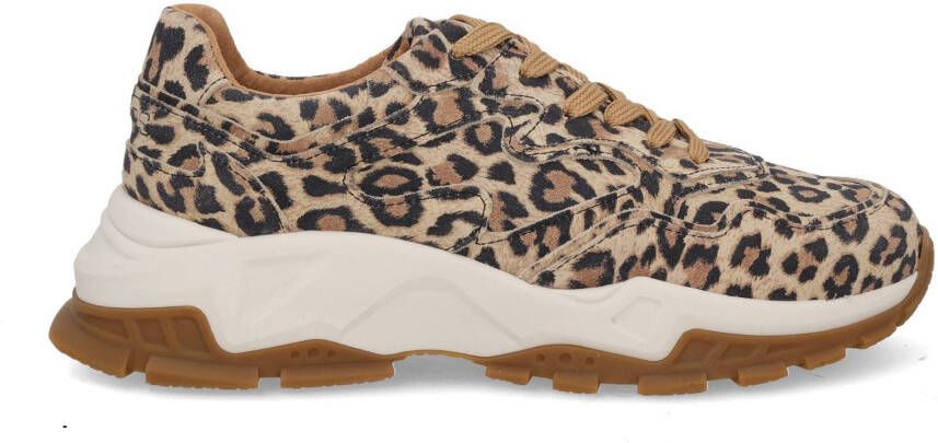 DWRS label Chester Leopard 8808 cognac multi bruin