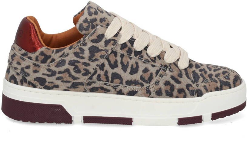 DWRS label Whitby Leopard 4568 bordeaux gr multi bruin