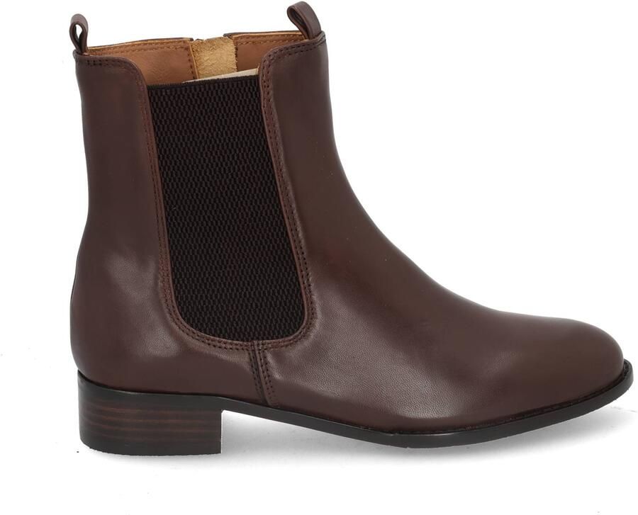 Everybody Gianella 83890 castagno Bruin