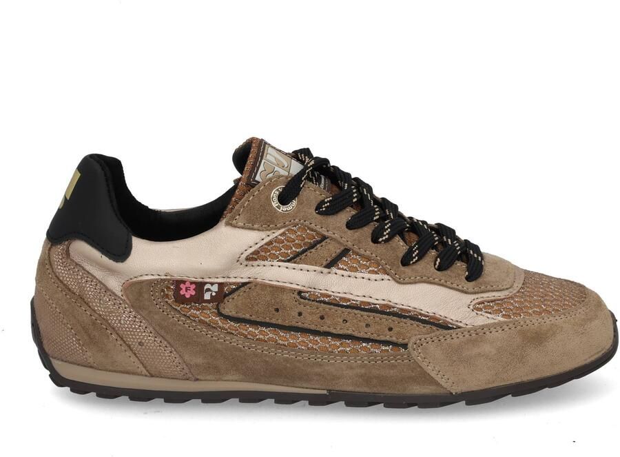 Floris van Bommel Illvi 01.02 gold Beige