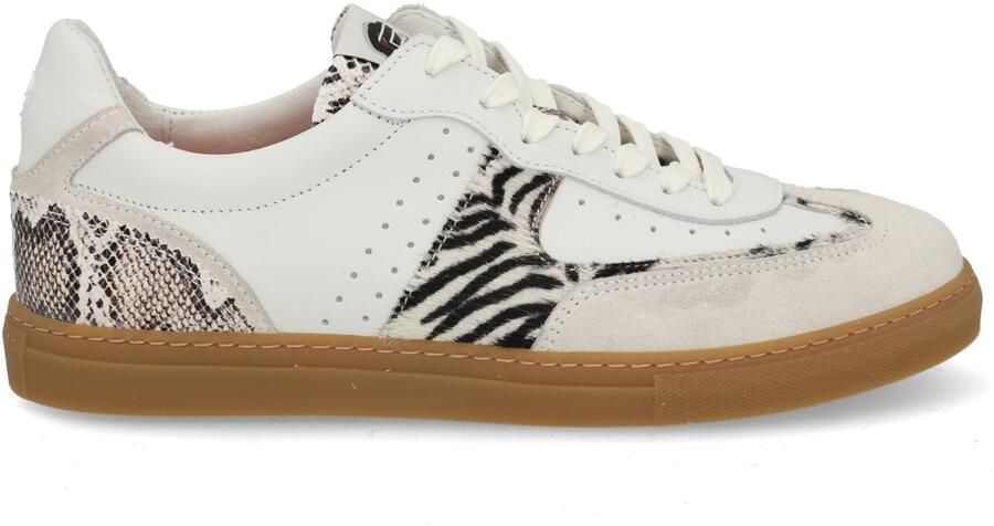 Floris van Bommel Sfw-10169 Minni Sneakers Dames Leren Sneaker Wit - Foto 2