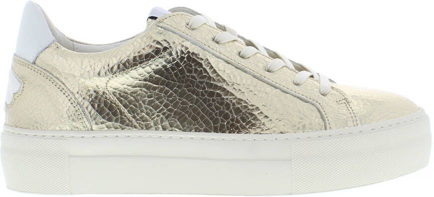 Floris van Floris van Bommel van Floris van Bommel Sneakers Dames Lage sneakers Damesschoenen Leer SFW-10059 Goud - Foto 10