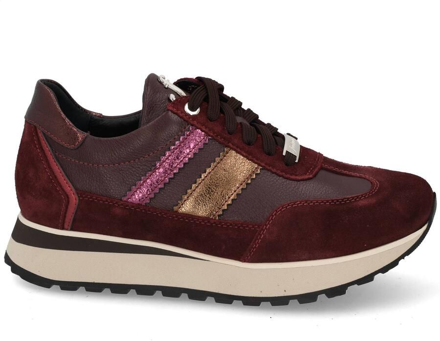 Footnotes Erika 31.012 2055 aubergine bordo
