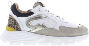 Giga G4110 chat grey gold Beige