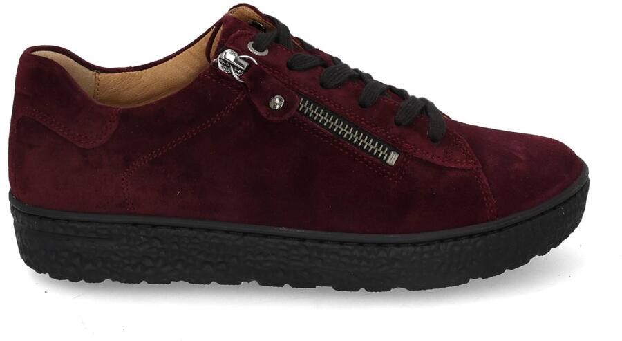 Hartjes Phil 162.1401 aubergine bordo