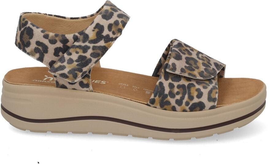 Hartjes Woogie 132.2002 leo multi bruin - Foto 2