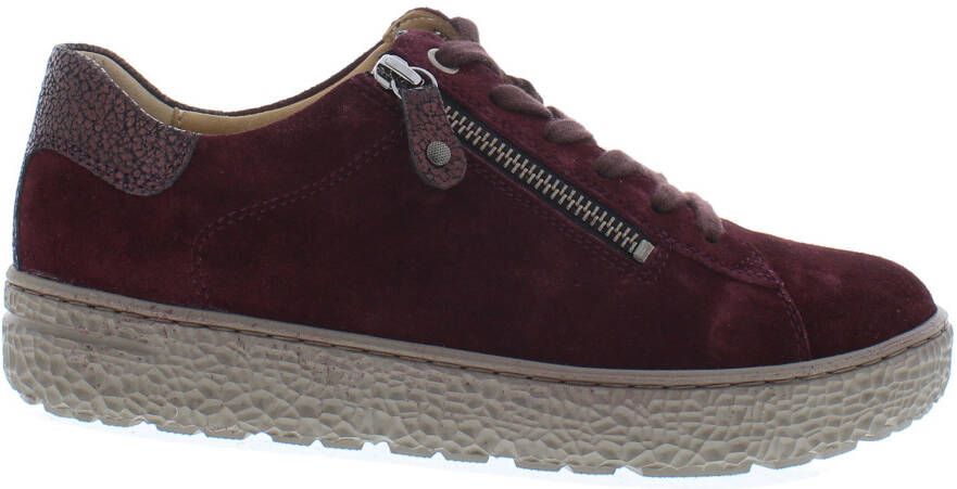 Hartjes Phil 162.1401 aubergine bordo