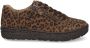 Hartjes Phil 162.1401 leo multi bruin - Thumbnail 2
