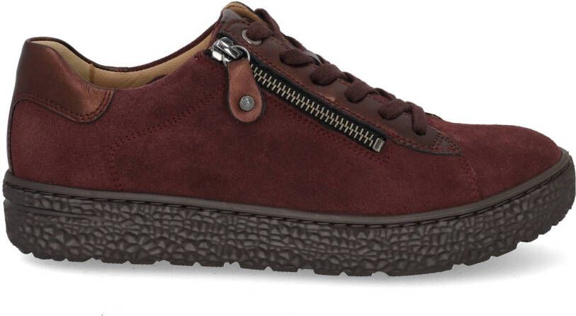 Hartjes Phil 162.1431 aubergine