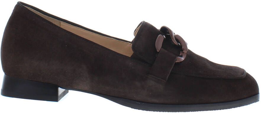 Hassia 6-300846 8600 darkbrown Bruin