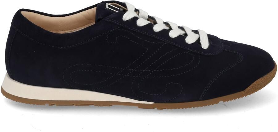 Hassia 301102 3200 blue donkerblauw