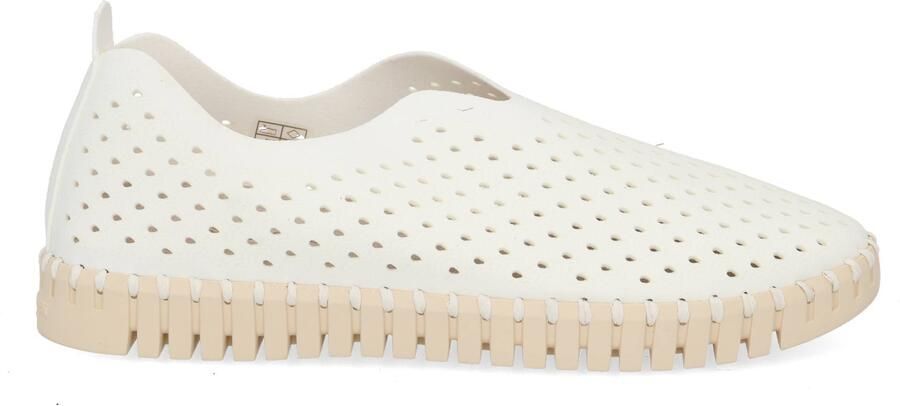 Ilse Jacobsen Sportschoenen JACOBSEN WHI TULIP 3275 - Foto 6