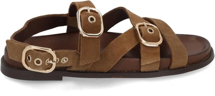 Inuovo D51006 sigaro Bruin