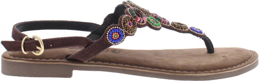 Lazamani 75.314 brown multi bruin