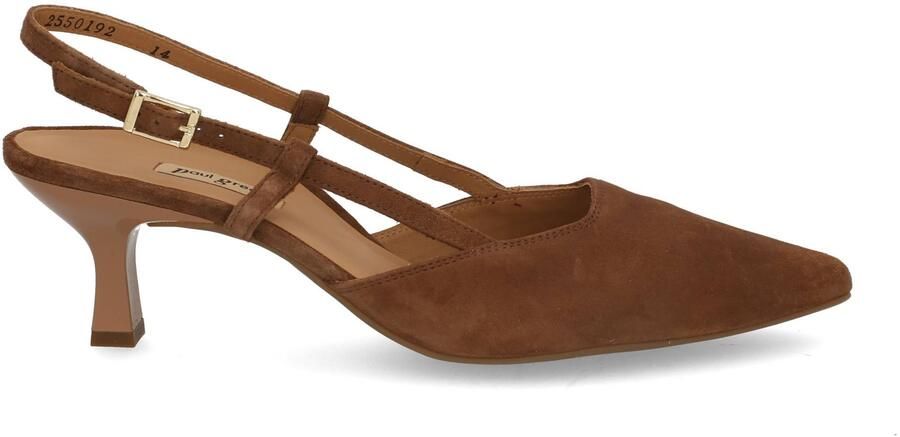 Paul Green 7992 129 nut Bruin