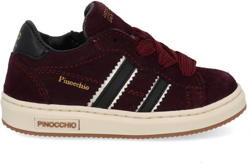 Pinocchio P1102 bordo combi bordo