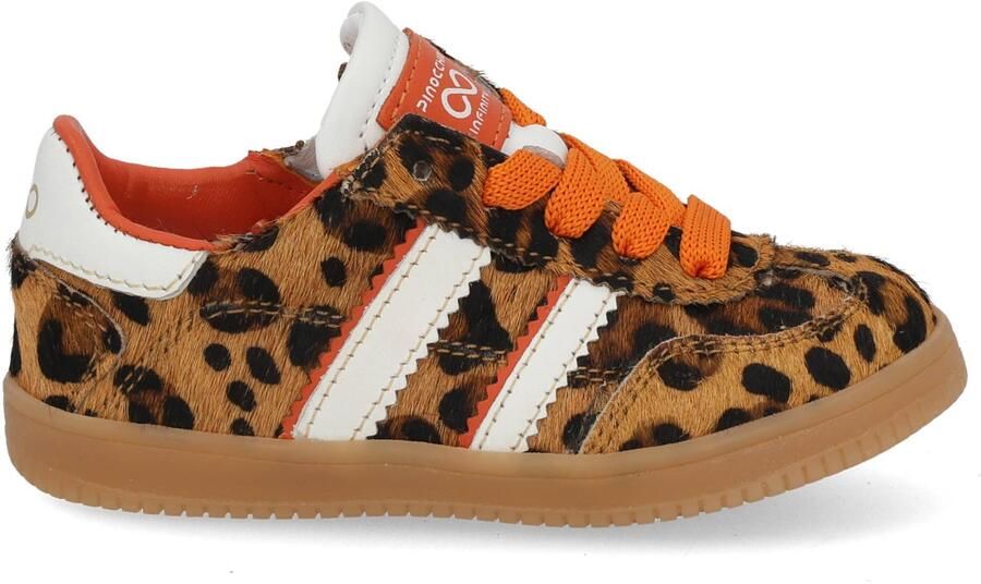 Pinocchio P1500 naturel multi bruin