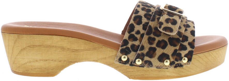 Red Rag 79606 059 leopard multi bruin