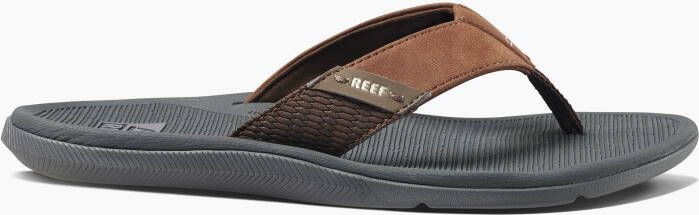 Reef flip flops Ci5835 Bruin Heren