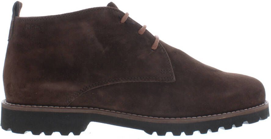 Sioux Meredith 702 H 64785 tessa di moro Bruin