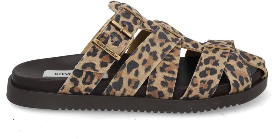 Steve Madden Mamba leopard multi bruin - Foto 8