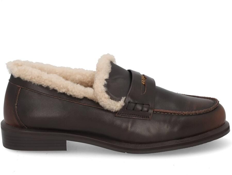 Toral TL-Noa brownish red bordo