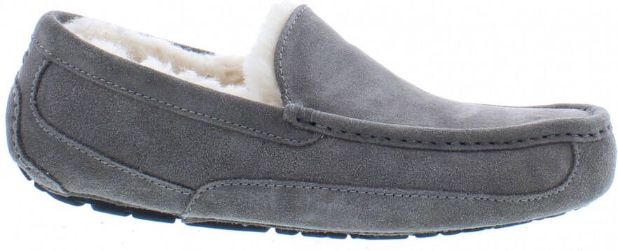 Ugg Ascot 1101110 GREY Grijs