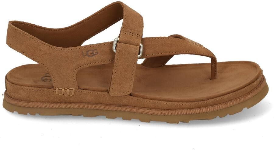 Ugg Goldengaze Toe post 1175134 CHE chetsnut Cognac - Foto 2