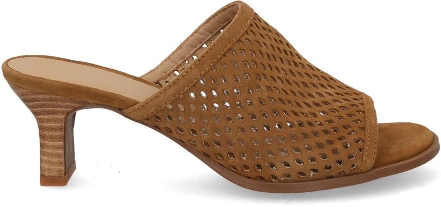 Unisa Labuc mistral Bruin