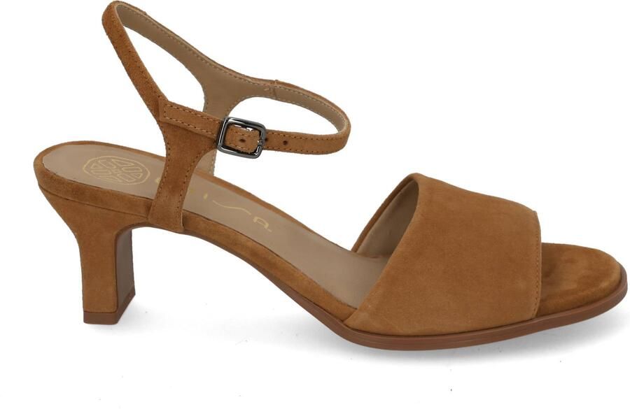 Unisa Lailo mistral Bruin