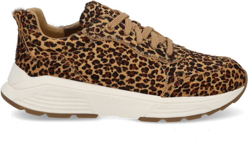 Xsensible Chain 33009.4 625 leopard multi bruin