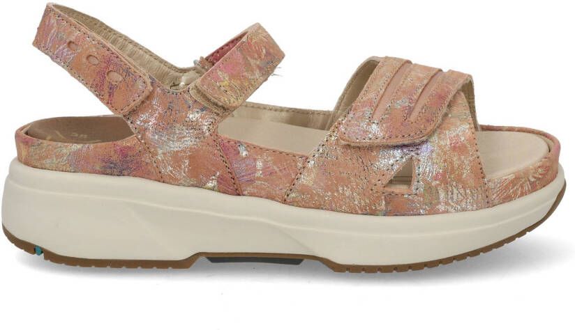 Xsensible Miami 30706.5 351 brown fantas Multi