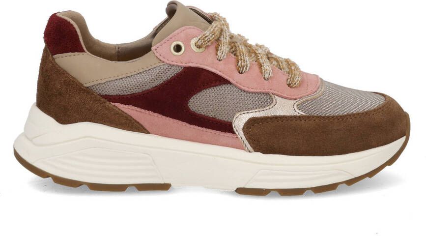 Xsensible Ponte Vecchio 33002.5 304 camel combi Multi