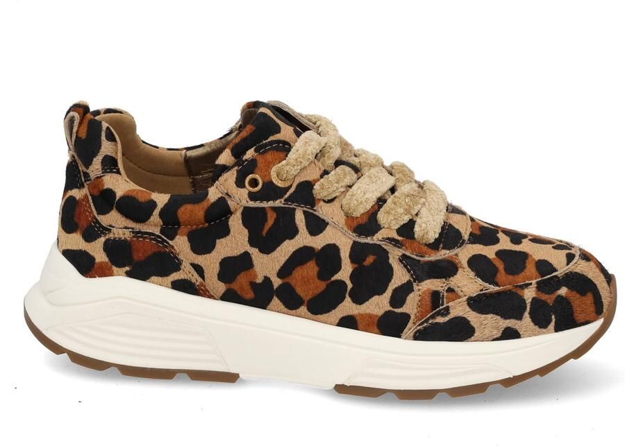 Xsensible Stretchwalker Chain 33009.4 114 leopard multi bruin