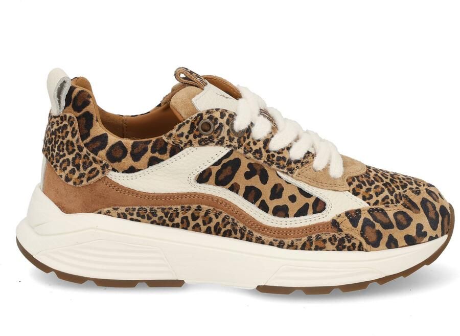 Xsensible Stretchwalker Milau 33004.4 625 leopard multi bruin - Foto 2
