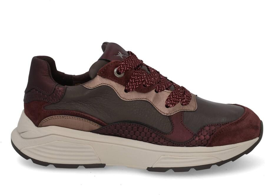 XSENSIBLE Lage sneakers Dames Rainbow Maat: 37 Materiaal: Suède Kleur: Bruin - Foto 2