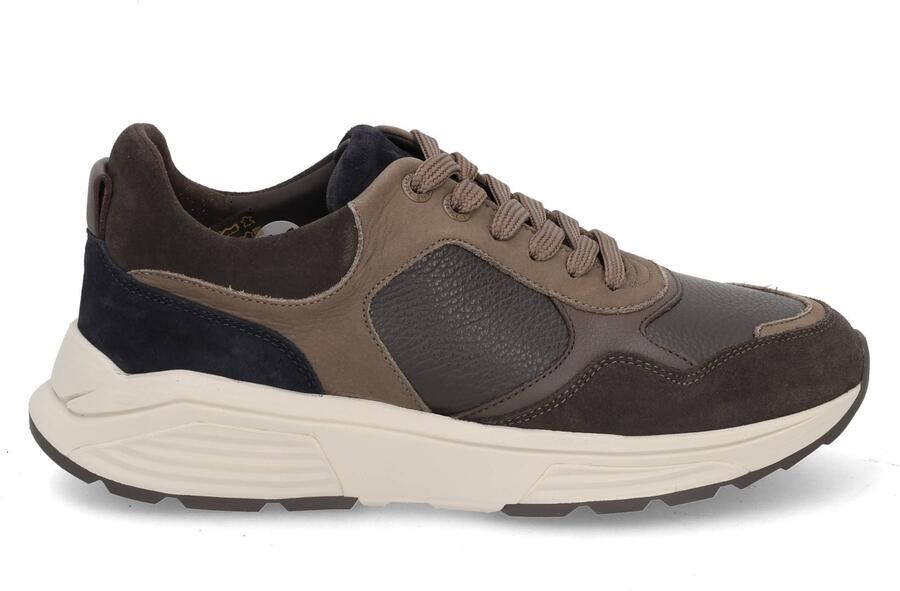 Xsensible Stretchwalker Rialto 33201.4 360 dark brown c Bruin - Foto 4