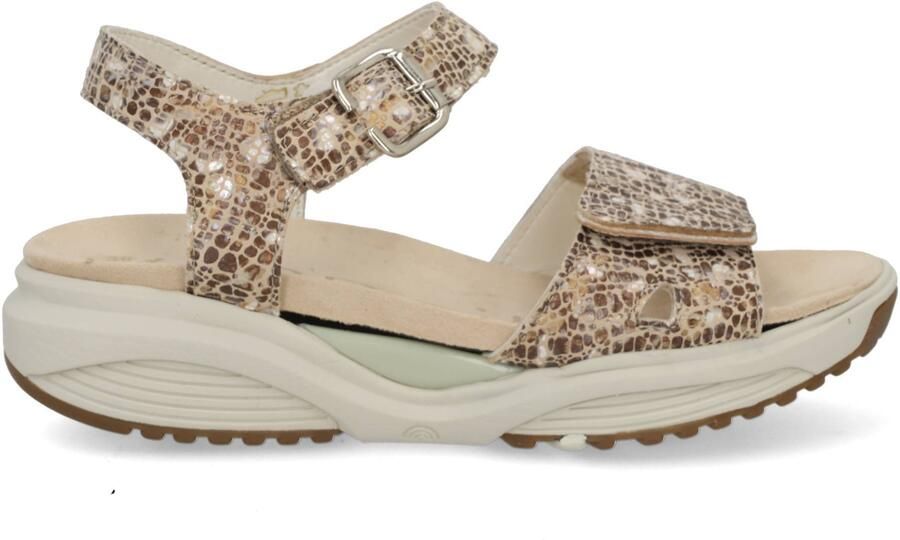 Xsensible Sandaal Skala 30312.5.428 H Sand Combi - Foto 3