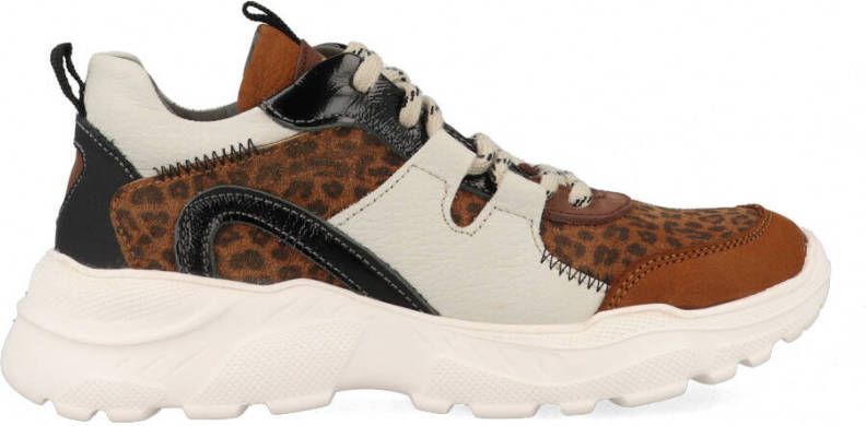 Van Dalen schoencollecties voor dames en heren | van Dalen.nl