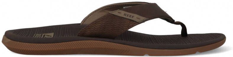 Reef Slippers Santa Ana CI4651 Bruin 47