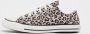 Converse Chuck Taylor All Star Chuck Taylor in multicolor formaten: 37.5 - Thumbnail 2