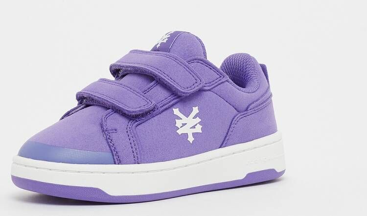 ZOO YORK Highbridge light blue white (TD) in Paars