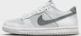 Nike kinderschoenen Dunk Low White Pure Platinum Football Grey Smoke Grey White Pure Platinum Football Grey Smoke Grey - Thumbnail 3