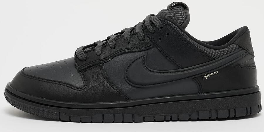 Nike Dunk Low GORE-TEX Zwart- Heren Zwart - Foto 2