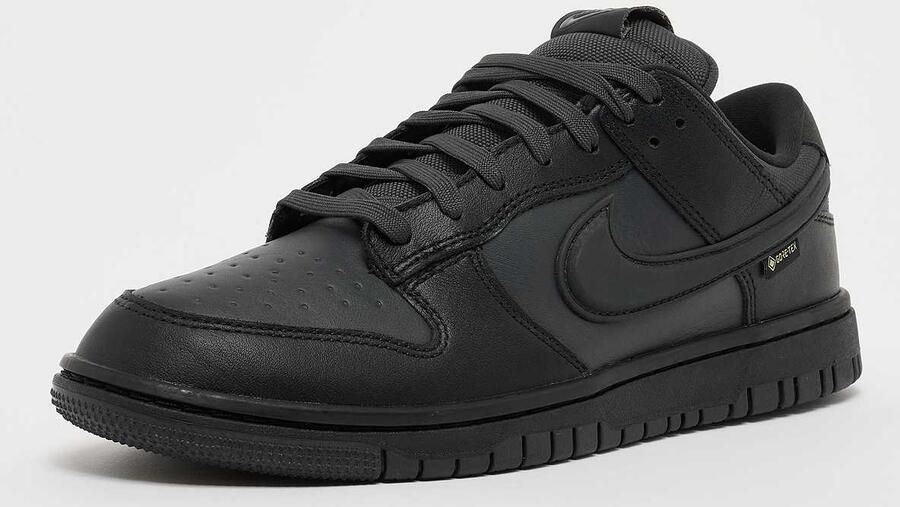 Nike Dunk Low GORE-TEX Zwart- Heren Zwart - Foto 4