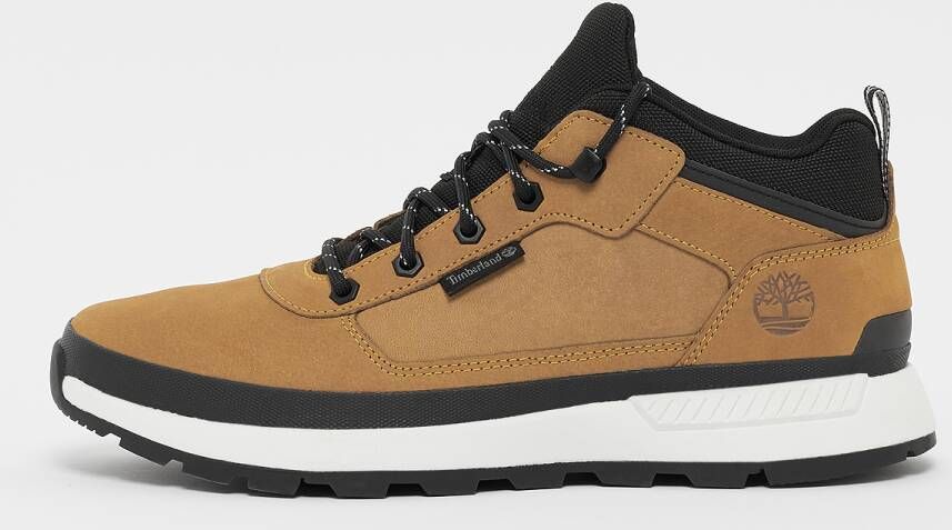 Timberland Field Trekker Low