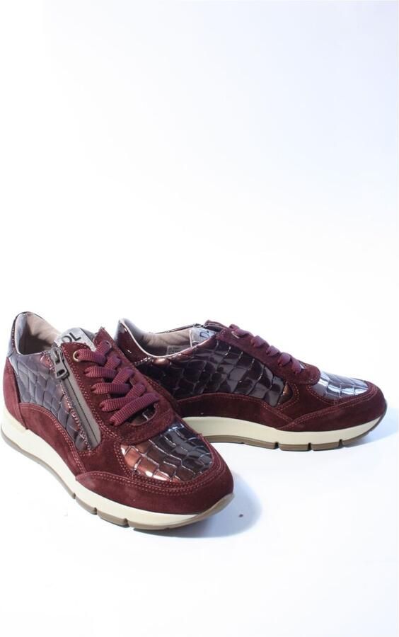 DL SPORT Lage Sneakers Dames 7118 Bruin